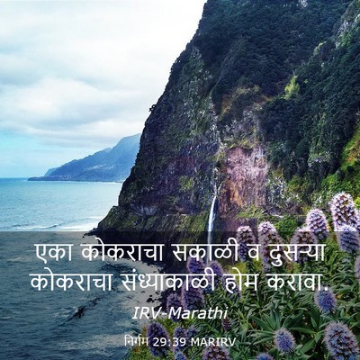 Picture 03 - निर्गम 29:39 MARIRV - एका कोकराचा सकाळी - Bible Verse Picture