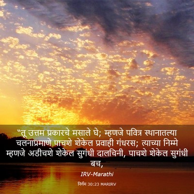 Picture 03 - निर्गम 30:23 MARIRV - “तू उत्तम - Bible Verse Picture