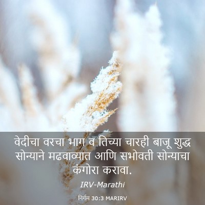 Picture 03 - निर्गम 30:3 MARIRV - वेदीचा वरचा भाग व - Bible Verse Picture