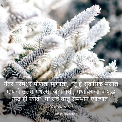 Picture 03 - निर्गम 30:34 MARIRV - नंतर परमेश्वर - Bible Verse Picture