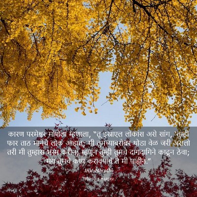 Picture 03 - निर्गम 33:5 MARIRV - कारण परमेश्वर - Bible Verse Picture