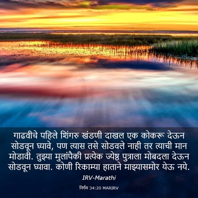Picture 03 - निर्गम 34:20 MARIRV - गाढवीचे पहिले - Bible Verse Picture