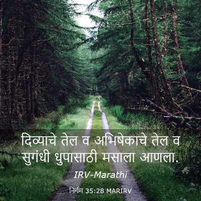 Picture 03 - निर्गम 35:28 MARIRV - दिव्याचे तेल व - Bible Verse Picture