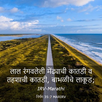 Picture 03 - निर्गम 35:7 MARIRV - लाल रंगवलेली - Bible Verse Picture