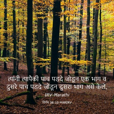 Picture 03 - निर्गम 36:10 MARIRV - त्यांनी त्यापैकी - Bible Verse Picture