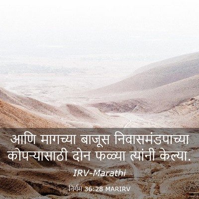 Picture 03 - निर्गम 36:28 MARIRV - आणि मागच्या बाजूस - Bible Verse Picture