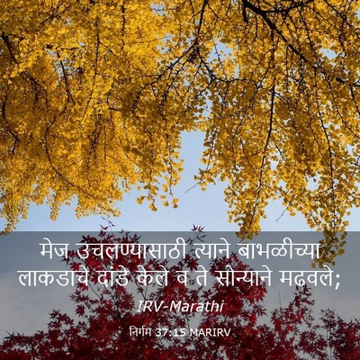 Picture 03 - निर्गम 37:15 MARIRV - मेज उचलण्यासाठी - Bible Verse Picture
