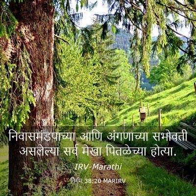 Picture 03 - निर्गम 38:20 MARIRV - निवासमंडपाच्या - Bible Verse Picture