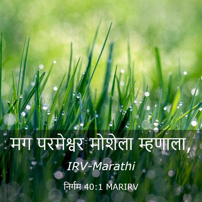 Picture 03 - निर्गम 40:1 MARIRV - मग परमेश्वर - Bible Verse Picture