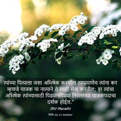 Picture 03 - निर्गम 40:15 MARIRV - त्यांच्या - Bible Verse Picture