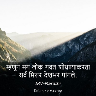 Picture 03 - निर्गम 5:12 MARIRV - म्हणून मग लोक गवत - Bible Verse Picture