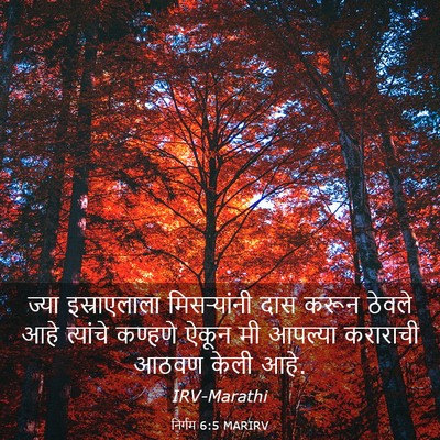 Picture 03 - निर्गम 6:5 MARIRV - ज्या इस्राएलाला - Bible Verse Picture