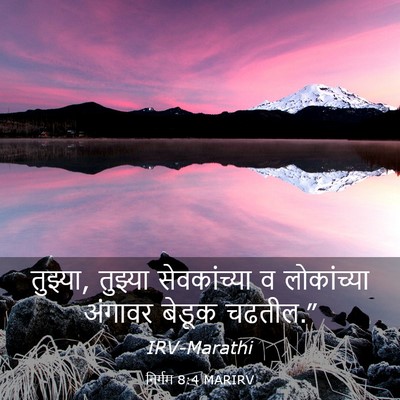 Picture 03 - निर्गम 8:4 MARIRV - तुझ्या, तुझ्या - Bible Verse Picture