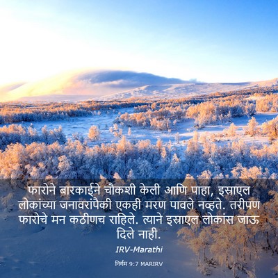 Picture 03 - निर्गम 9:7 MARIRV - फारोने बारकाईने - Bible Verse Picture