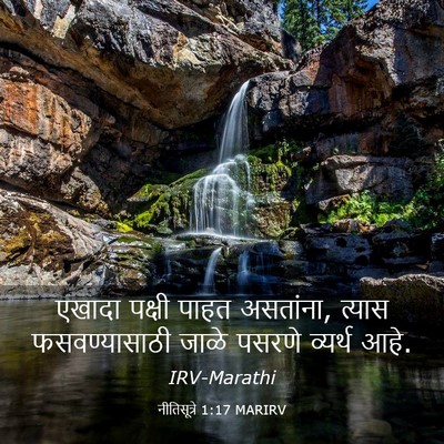 Picture 03 - नीतिसूत्रे 1:17 MARIRV - एखादा पक्षी पाहत - Bible Verse Picture