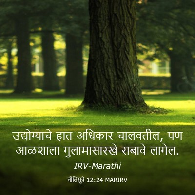 Picture 03 - नीतिसूत्रे 12:24 MARIRV - उद्योग्याचे हात - Bible Verse Picture