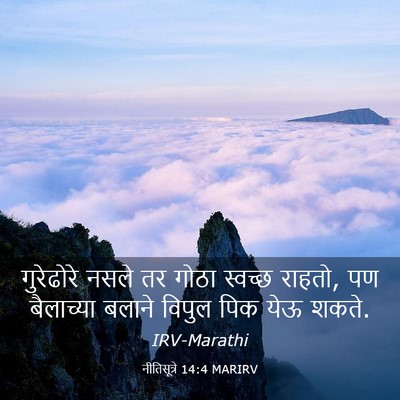 Picture 03 - नीतिसूत्रे 14:4 MARIRV - गुरेढोरे नसले तर - Bible Verse Picture