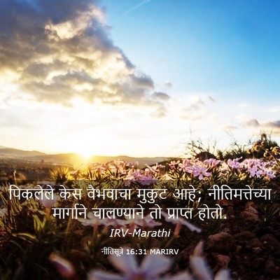 Picture 03 - नीतिसूत्रे 16:31 MARIRV - पिकलेले केस - Bible Verse Picture