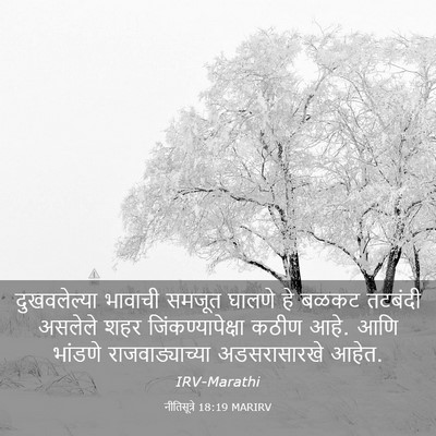 Picture 03 - नीतिसूत्रे 18:19 MARIRV - दुखवलेल्या भावाची - Bible Verse Picture