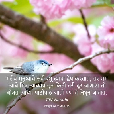 Picture 03 - नीतिसूत्रे 19:7 MARIRV - गरीब मनुष्याचे - Bible Verse Picture