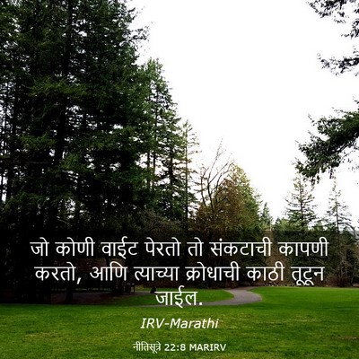 Picture 03 - नीतिसूत्रे 22:8 MARIRV - जो कोणी वाईट पेरतो - Bible Verse Picture