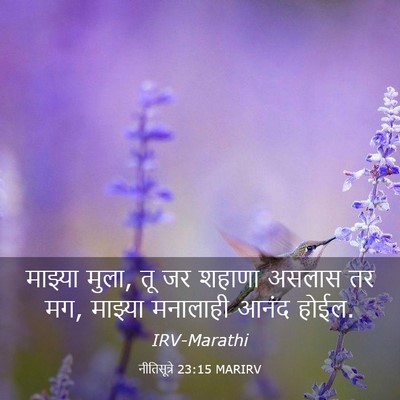 Picture 03 - नीतिसूत्रे 23:15 MARIRV - माझ्या मुला, तू जर - Bible Verse Picture