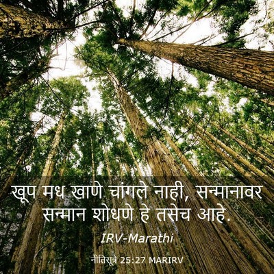 Picture 03 - नीतिसूत्रे 25:27 MARIRV - खूप मध खाणे चांगले - Bible Verse Picture