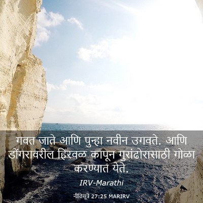 Picture 03 - नीतिसूत्रे 27:25 MARIRV - गवत जाते आणि - Bible Verse Picture