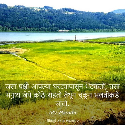 Picture 03 - नीतिसूत्रे 27:8 MARIRV - जसा पक्षी आपल्या - Bible Verse Picture