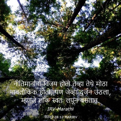 Picture 03 - नीतिसूत्रे 28:12 MARIRV - नीतिमानांचा विजय - Bible Verse Picture