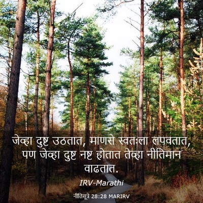 Picture 03 - नीतिसूत्रे 28:28 MARIRV - जेव्हा दुष्ट - Bible Verse Picture