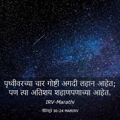 Picture 03 - नीतिसूत्रे 30:24 MARIRV - पृथ्वीवरच्या चार - Bible Verse Picture