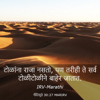 Picture 03 - नीतिसूत्रे 30:27 MARIRV - टोळांना राजा नसतो, - Bible Verse Picture
