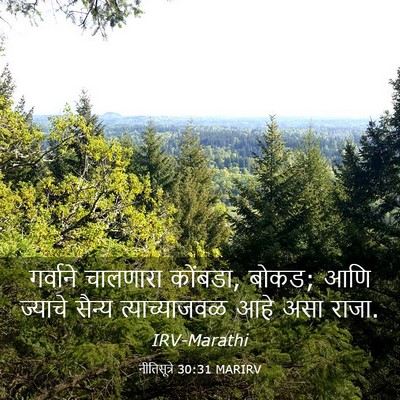 Picture 03 - नीतिसूत्रे 30:31 MARIRV - गर्वाने चालणारा - Bible Verse Picture