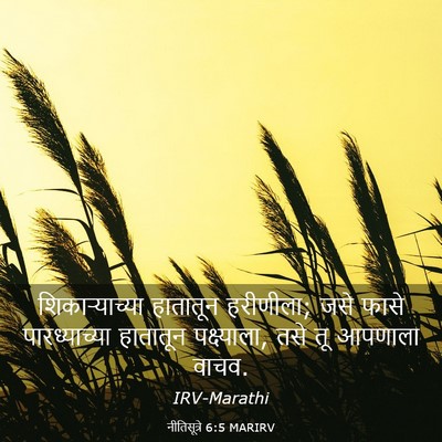 Picture 03 - नीतिसूत्रे 6:5 MARIRV - शिकाऱ्याच्या - Bible Verse Picture
