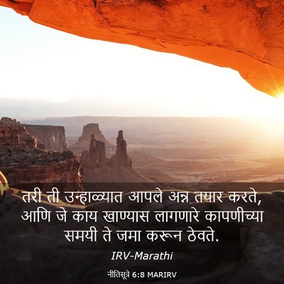 Picture 03 - नीतिसूत्रे 6:8 MARIRV - तरी ती उन्हाळ्यात - Bible Verse Picture