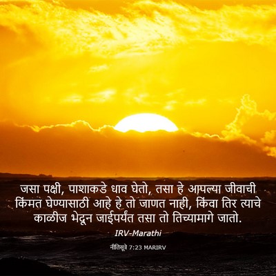 Picture 03 - नीतिसूत्रे 7:23 MARIRV - जसा पक्षी, पाशाकडे - Bible Verse Picture