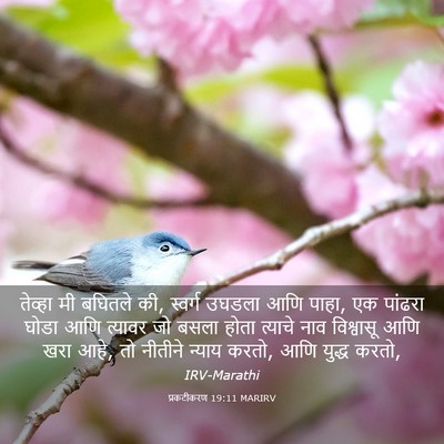 Picture 03 - प्रकटीकरण 19:11 MARIRV - तेव्हा मी बघितले - Bible Verse Picture