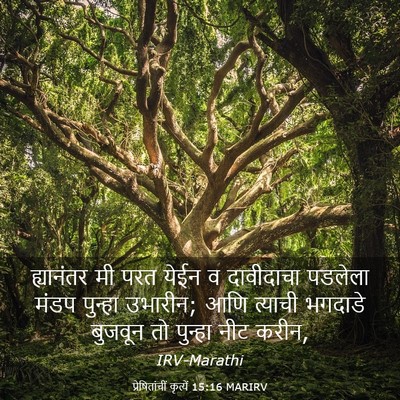 Picture 03 - प्रेषितांचीं कृत्यें 15:16 MARIRV - ह्यानंतर मी परत - Bible Verse Picture