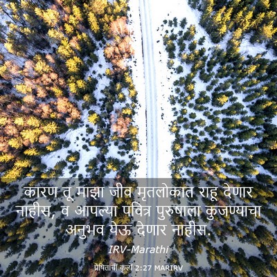 Picture 03 - प्रेषितांचीं कृत्यें 2:27 MARIRV - कारण तू माझा जीव - Bible Verse Picture