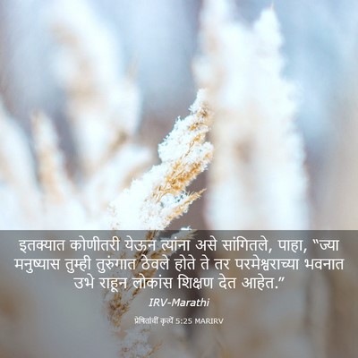 Picture 03 - प्रेषितांचीं कृत्यें 5:25 MARIRV - इतक्यात कोणीतरी - Bible Verse Picture