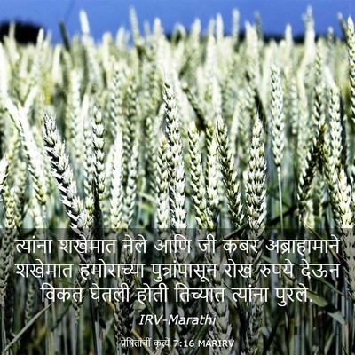Picture 03 - प्रेषितांचीं कृत्यें 7:16 MARIRV - त्यांना शखेमात - Bible Verse Picture