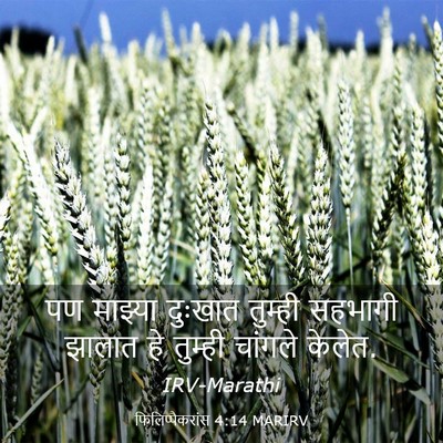 Picture 03 - फिलिप्पैकरांस 4:14 MARIRV - पण माझ्या दुःखात - Bible Verse Picture