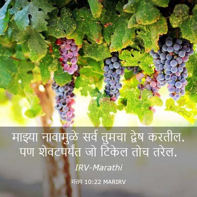 Picture 03 - मत्तय 10:22 MARIRV - माझ्या नावामुळे - Bible Verse Picture
