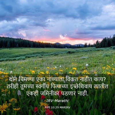 Picture 03 - मत्तय 10:29 MARIRV - दोन चिमण्या एका - Bible Verse Picture