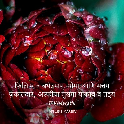 Picture 03 - मत्तय 10:3 MARIRV - फिलिप्प व बर्थलमय, - Bible Verse Picture