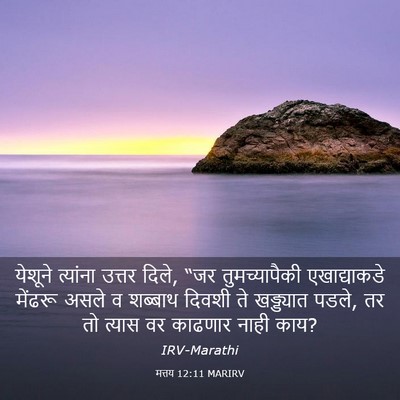 Picture 03 - मत्तय 12:11 MARIRV - येशूने त्यांना - Bible Verse Picture