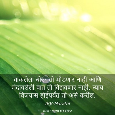 Picture 03 - मत्तय 12:20 MARIRV - वाकलेला बोरू तो - Bible Verse Picture