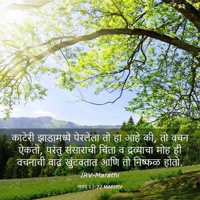 Picture 03 - मत्तय 13:22 MARIRV - काटेरी झाडामध्ये - Bible Verse Picture
