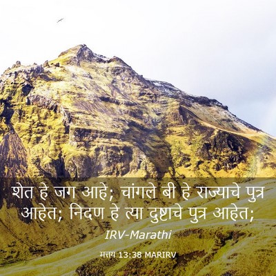 Picture 03 - मत्तय 13:38 MARIRV - शेत हे जग आहे; - Bible Verse Picture